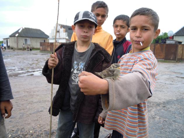 thomas und seine freunde im romadorf pausching