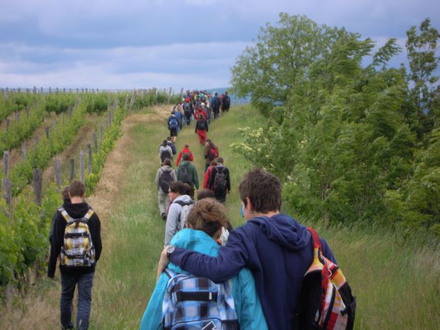 wanderung am tokajer berg