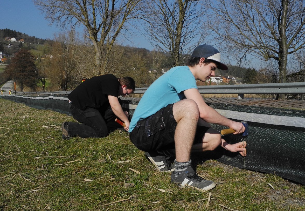 aktion kroetenwanderung unterstuetzung 13042014 02