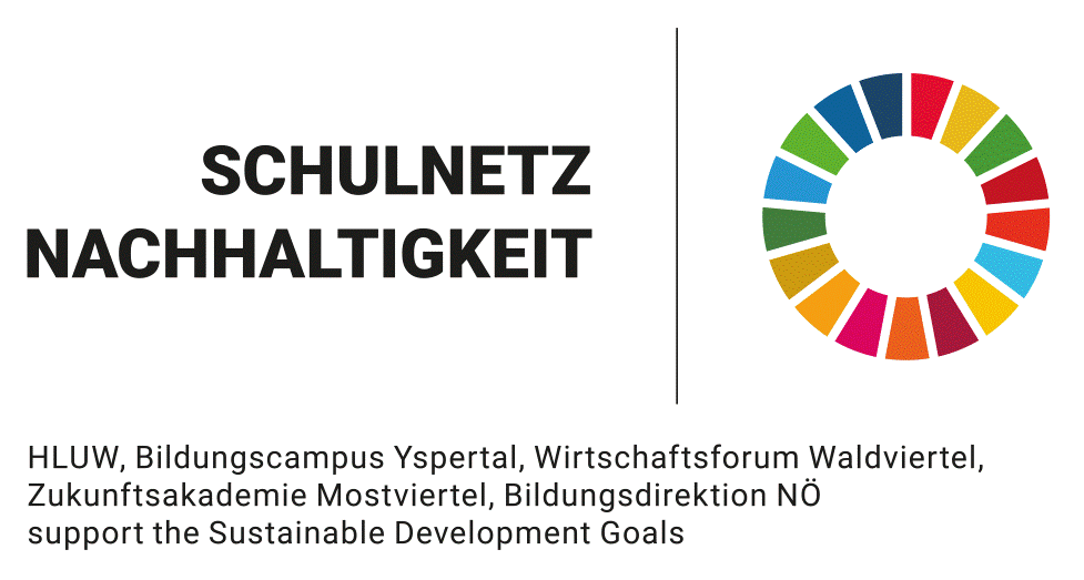 Logo SDG Schulnetz